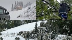 Ninsoarea a făcut prăpăd în stațiunile montane din România. Pană de curent, mașini blocate și turiști salvați la limită din zăpada de jumătate de metru Ninsoarea a făcut prăpăd în stațiunile montane din România. Pană de curent, mașini blocate și turiști salvați la limită din zăpada de jumătate de metru